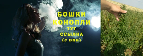 прущие крисы Армянск