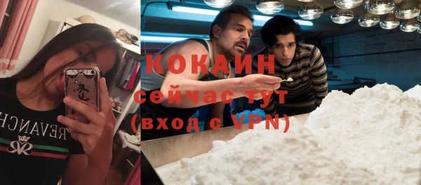 прущие крисы Армянск