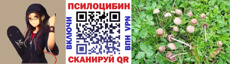 kraken ссылки  Краснодар  Галлюциногенные грибы мухоморы 